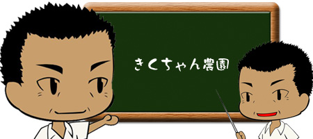 きくちゃん農園 様